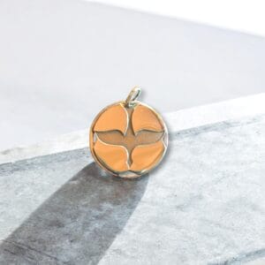 Médaille Saint Esprit argent – Amalric