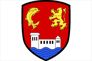 Écusson Villeurbanne – Amalric