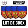 Lot de 300 écussons