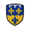 Écusson du Loir-et-Cher Écusson du Loir-et-Cher brodé – lys au lambel du Blésois et lys d'azur sur or