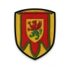 Écusson du Puy-de-Dôme Écusson du Puy-de-Dôme brodé – gonfanon d'Auvergne et griffon de gueules et de sinople